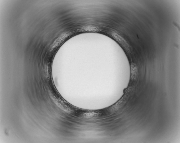 X0000102270158200808151912