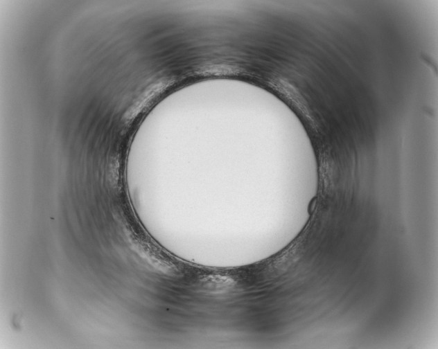 X0000102270159200808151912