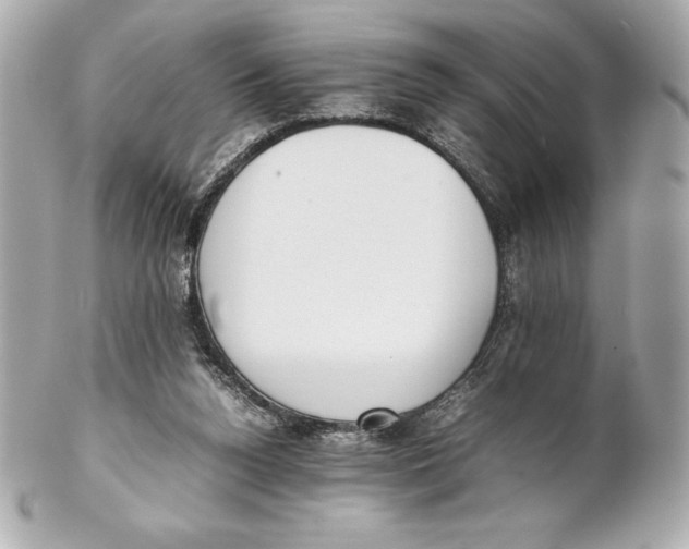 X0000102270160200808151912