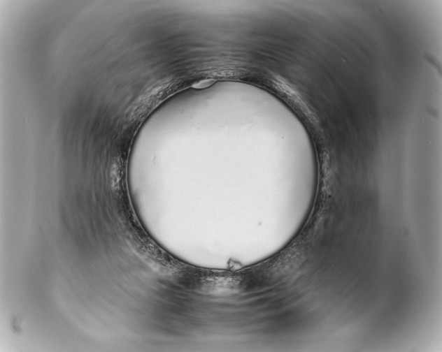 X0000102270161200808151912