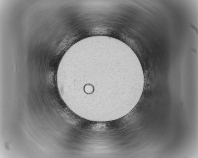 X0000102270162200808151912