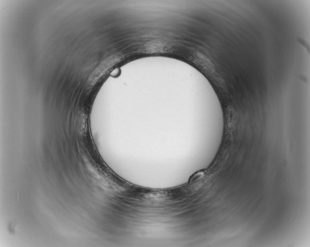 X0000102270164200808151912