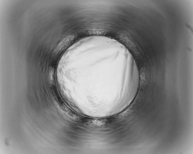 X0000102270166200808151912