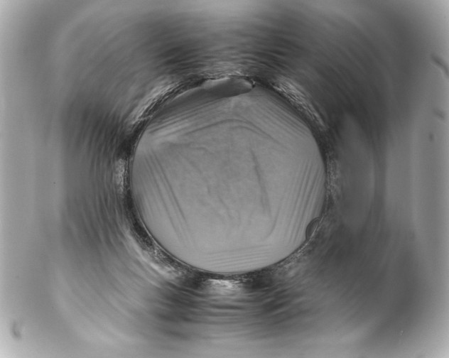 X0000102270167200808151912