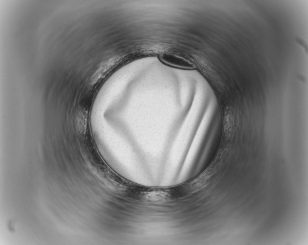 X0000102270168200808151912