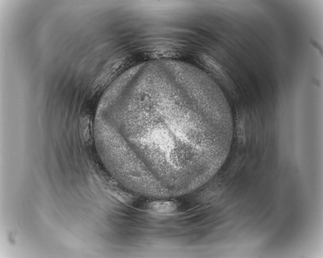 X0000102270169200808151912