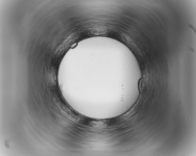 X0000102270170200808151912