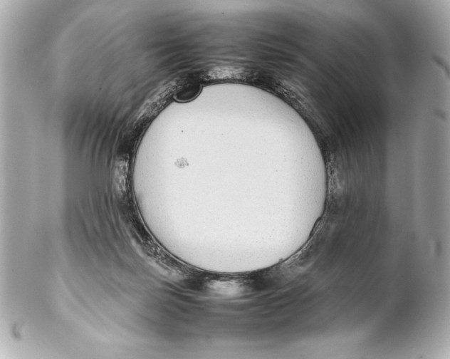 X0000102270171200808151913