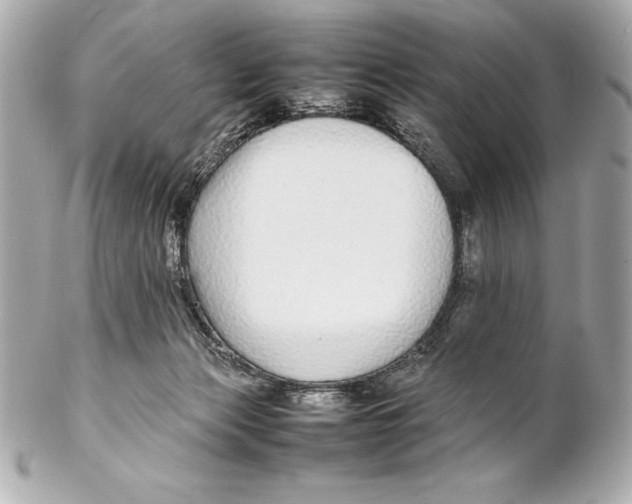 X0000102270173200808151913