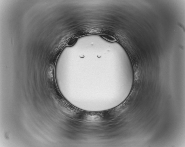 X0000102270175200808151913