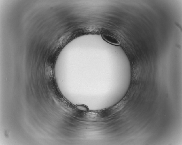 X0000102270176200808151913