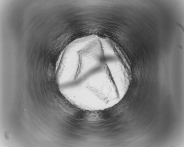 X0000102270181200808151913