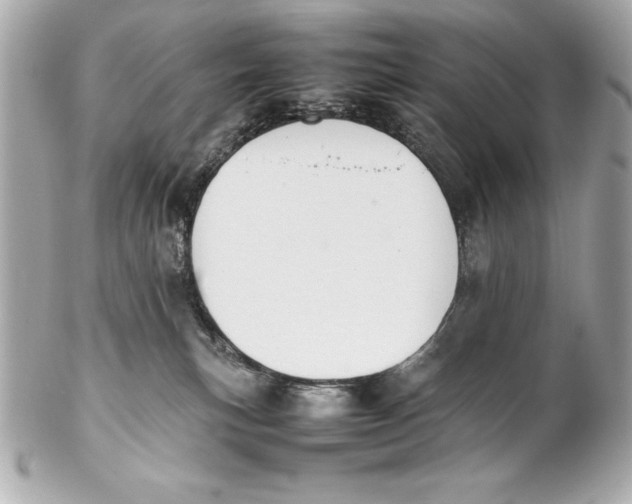 X0000102270183200808151913