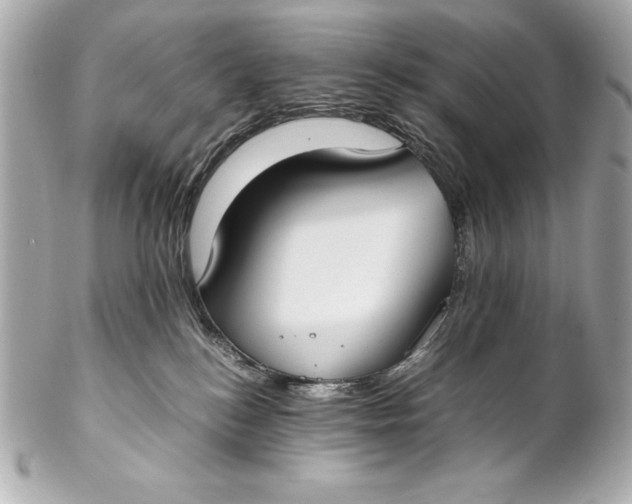 X0000102270184200808151913