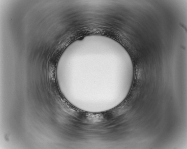 X0000102270185200808151913