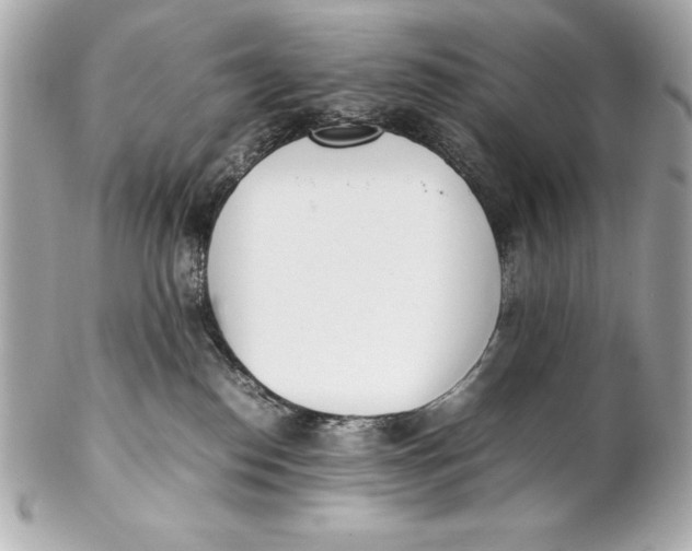 X0000102270186200808151913