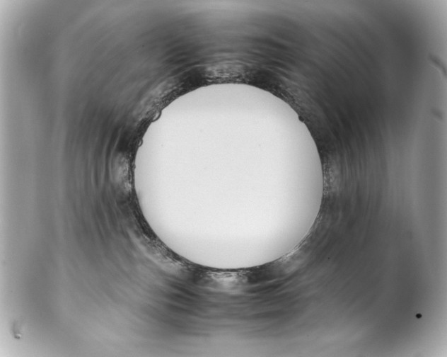 X0000102270187200808151913
