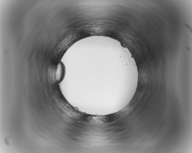 X0000102270188200808151913