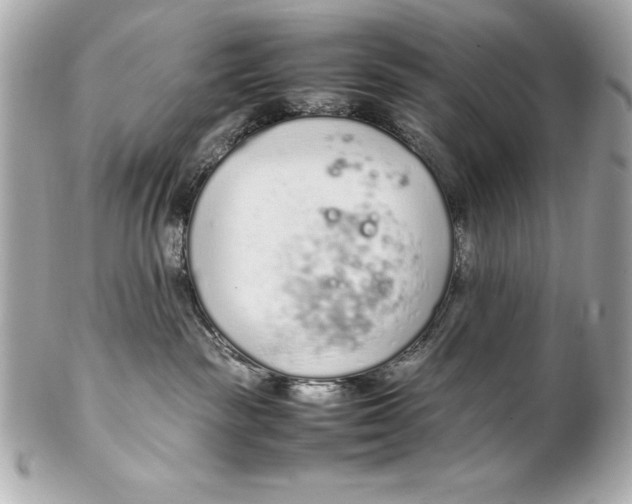 X0000102270189200808151913