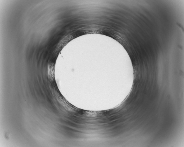 X0000102270190200808151913