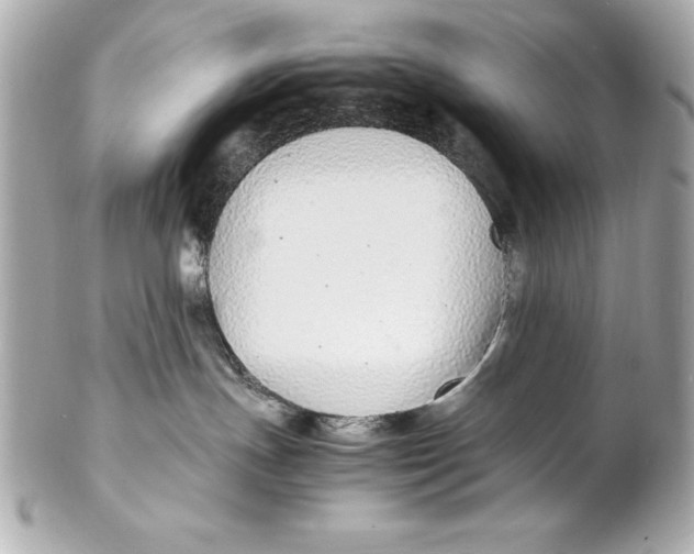 X0000102270191200808151913