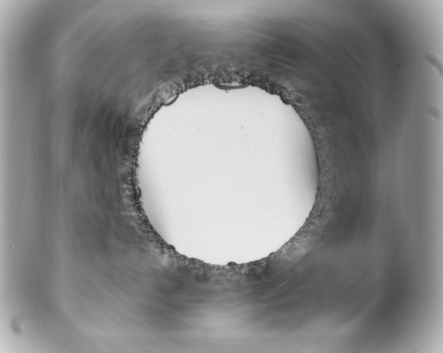 X0000102270192200808151913