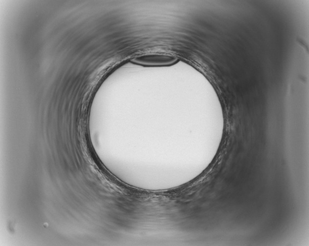 X0000102270193200808151912