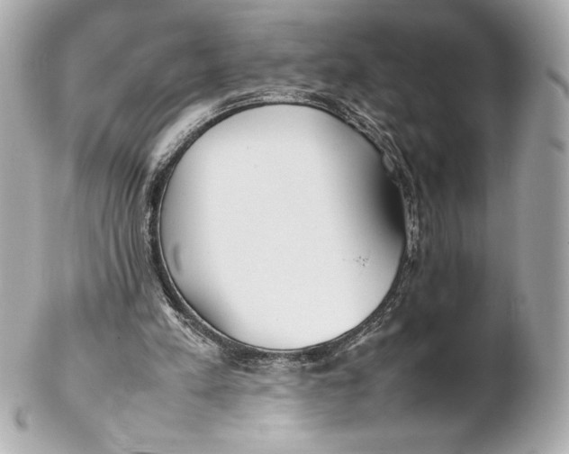 X0000102270197200808151912