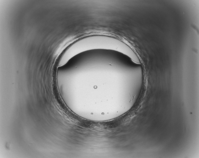 X0000102270199200808151912