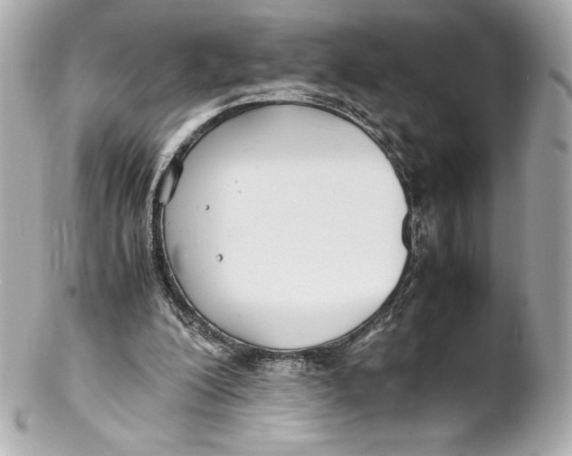 X0000102270200200808151912