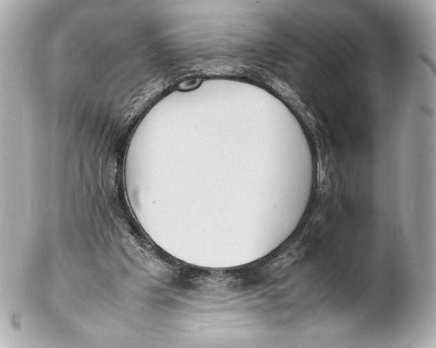 X0000102270201200808151912