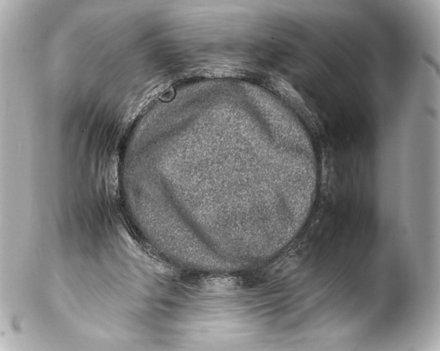 X0000102270202200808151912