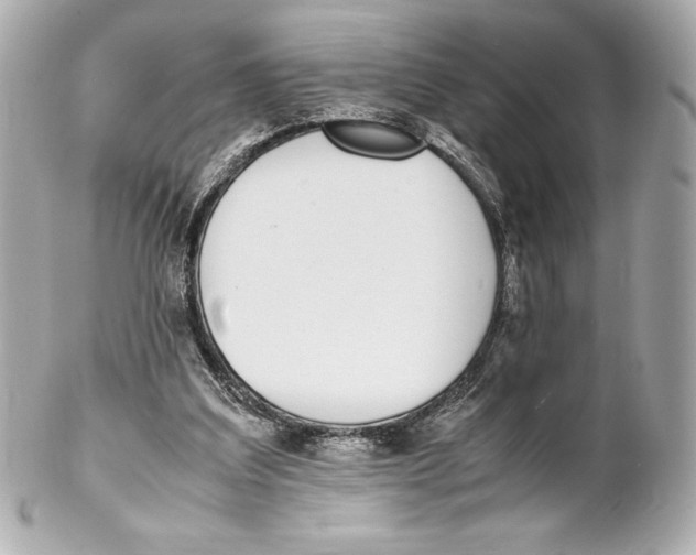 X0000102270203200808151912