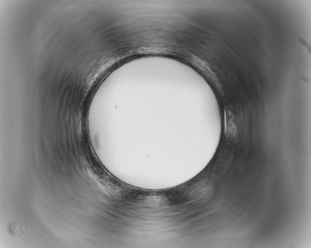 X0000102270204200808151912