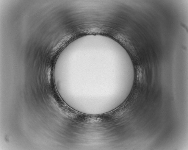 X0000102270206200808151912