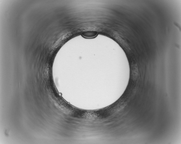 X0000102270207200808151912