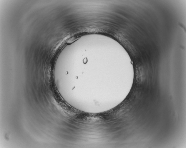 X0000102270208200808151912