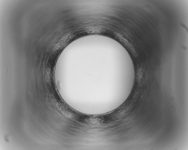 X0000102270209200808151912