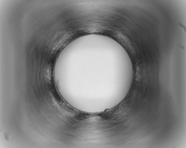 X0000102270210200808151912