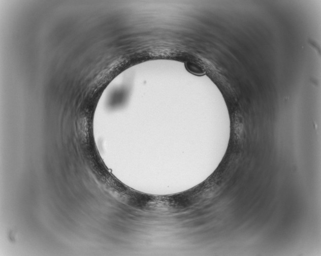 X0000102270211200808151912