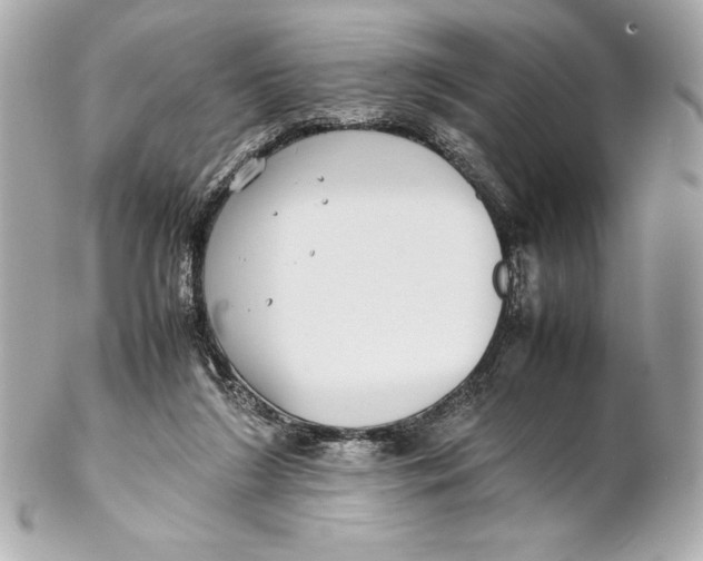 X0000102270212200808151912