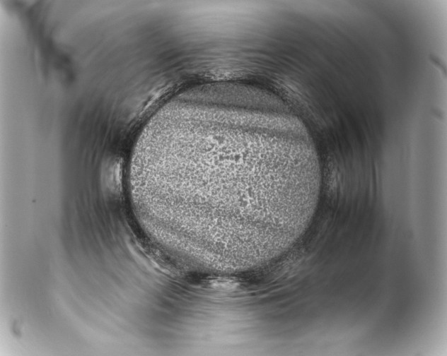 X0000102270214200808151912