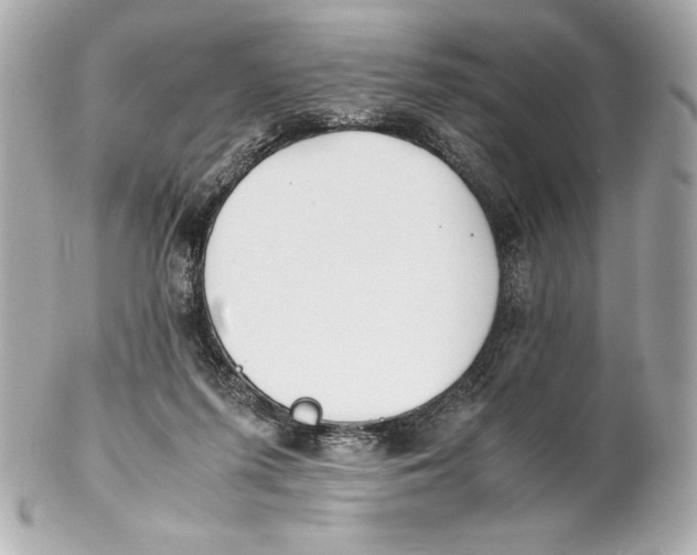 X0000102270215200808151912