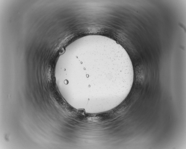 X0000102270216200808151912