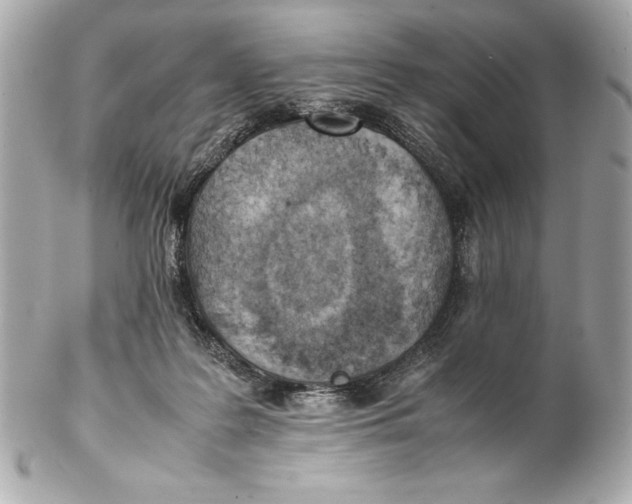 X0000102270219200808151912