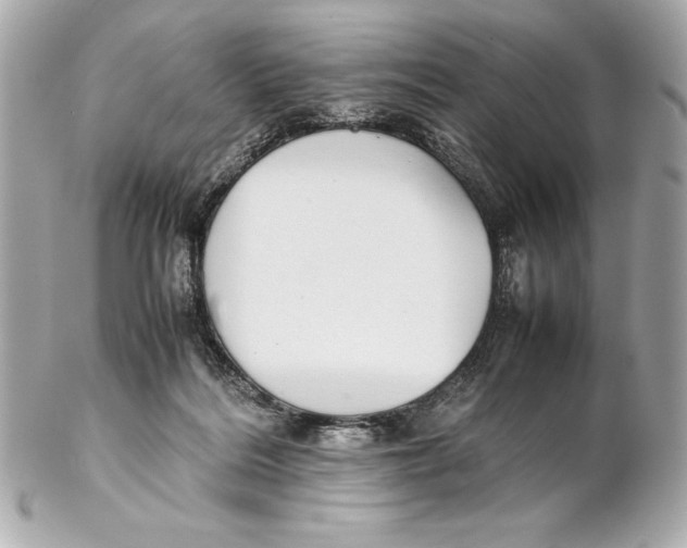 X0000102270220200808151912