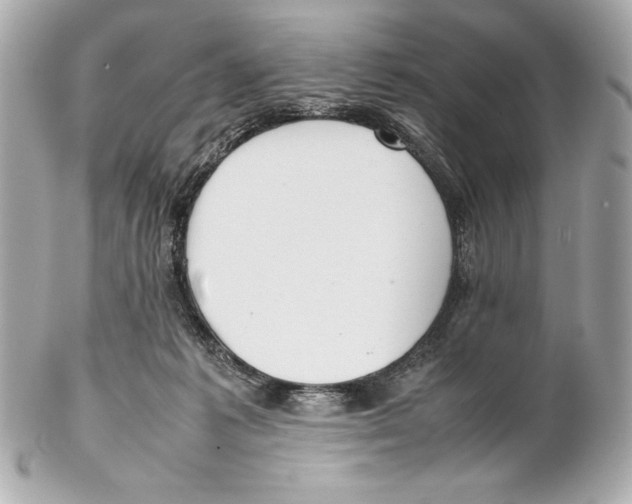 X0000102270221200808151912