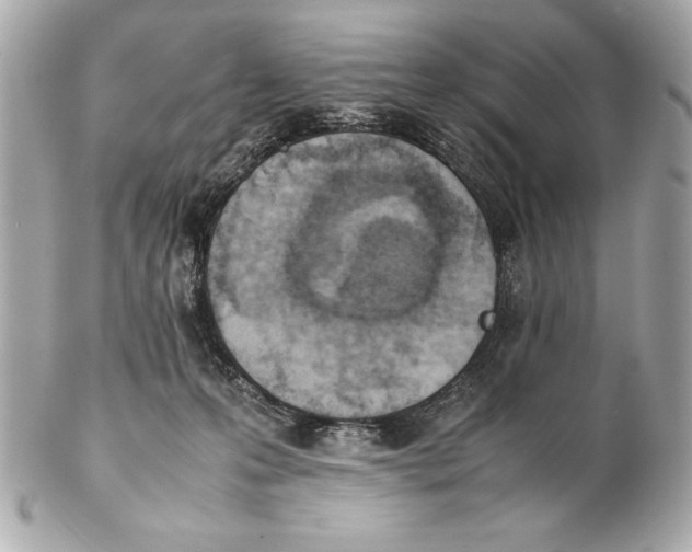 X0000102270223200808151912