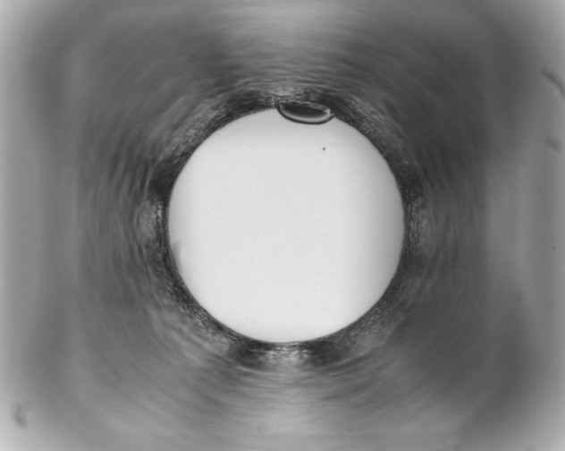 X0000102270225200808151912