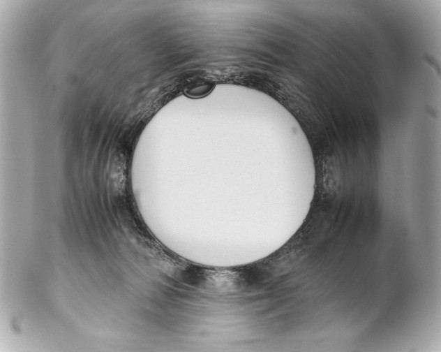 X0000102270226200808151911